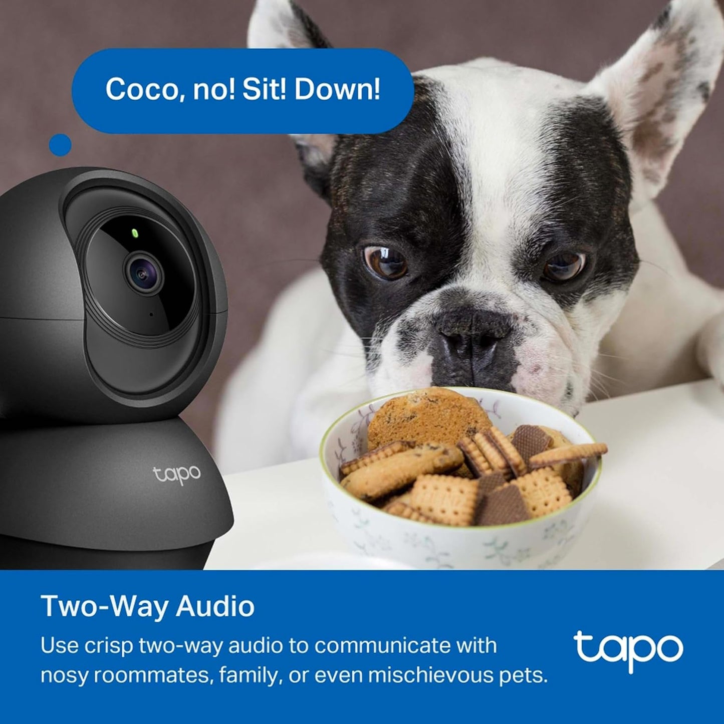 Tapo C201 360° 2MP 1080p Full HD Pan/Tilt Home Security Wi-Fi Smart Camera| Alexa Enabled| 2-Way Audio| Night Vision| Motion Detection| Sound and Light Alarm| Indoor CCTV Black