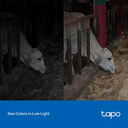 Tapo 4MP 2K QHD (2560X1440) Outdoor CCTV Security Wi-Fi Smart Camera -Alexa Enabled -Weatherproof -Full Color Starlight Night Vision -2-Way Audio -Up to 256 GB SD Storage - C320Ws- White